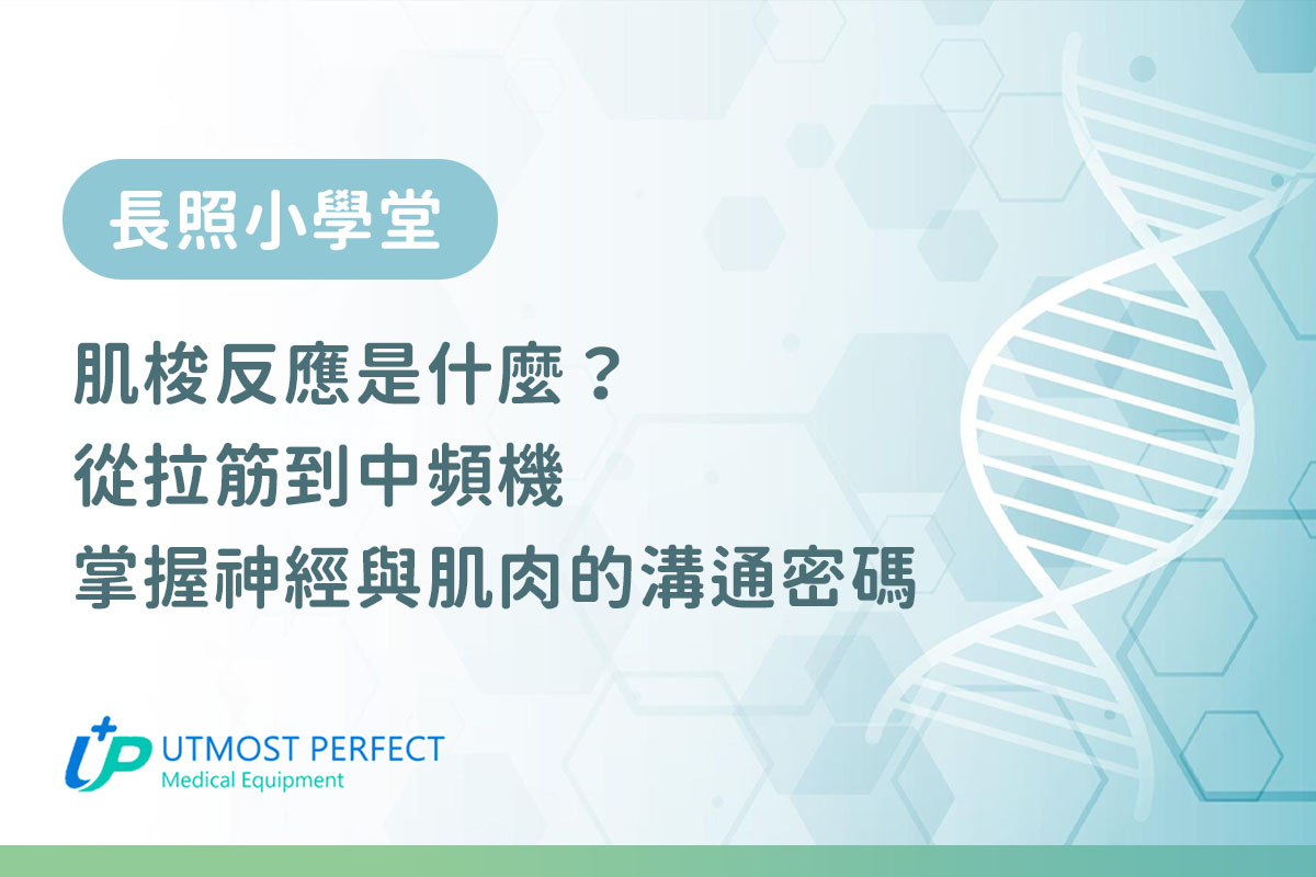 肌梭反應是什麼？從拉筋到中頻機，掌握神經與肌肉的溝通密碼