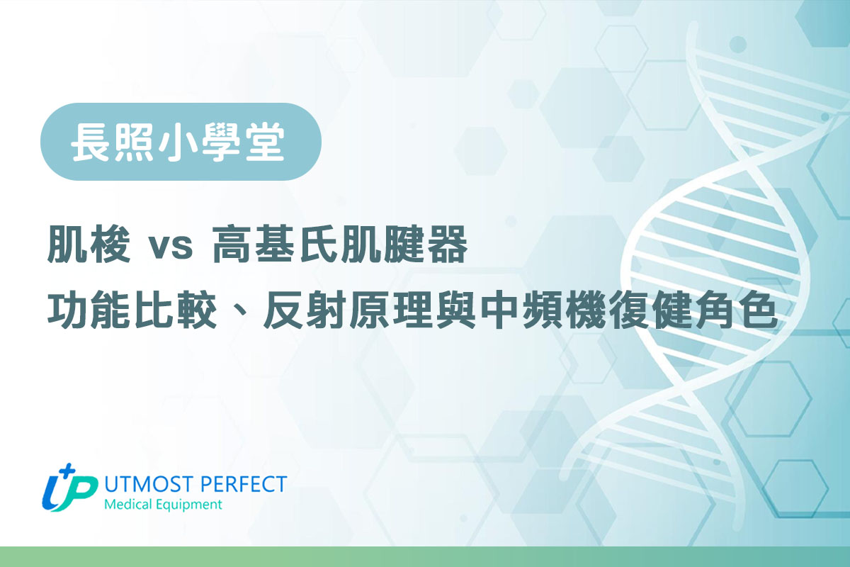 肌梭 vs 高基氏肌腱器功能比較反射原理與中頻機復健角色
